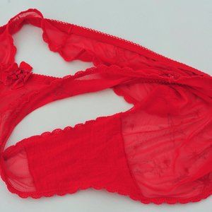 Victoria's Secret Vintage Red Mesh Panties